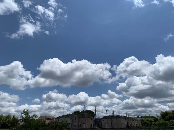 clouds-yuppie_3102a.jpg