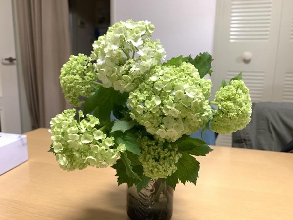 flowers-yuppie_0784a.jpg