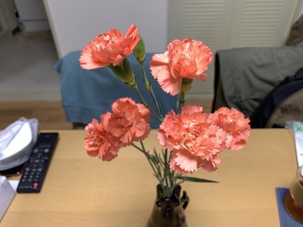 flowers-yuppie_1108a.jpg