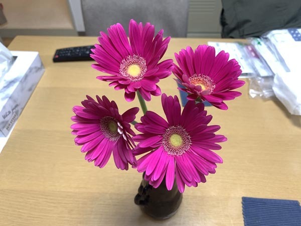 flowers-yuppie_1395a.jpg