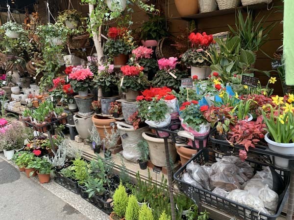 flowers-yuppie_5499a.jpg