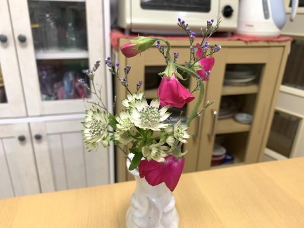 flowers-yuppie_9455a.jpg