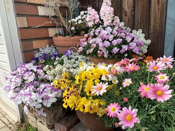 flowers-yuppie_9655a.jpg