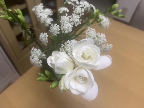 flowers-yuppie_9863a.jpg