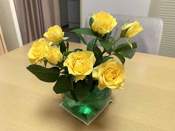 flowers_2851a.jpg