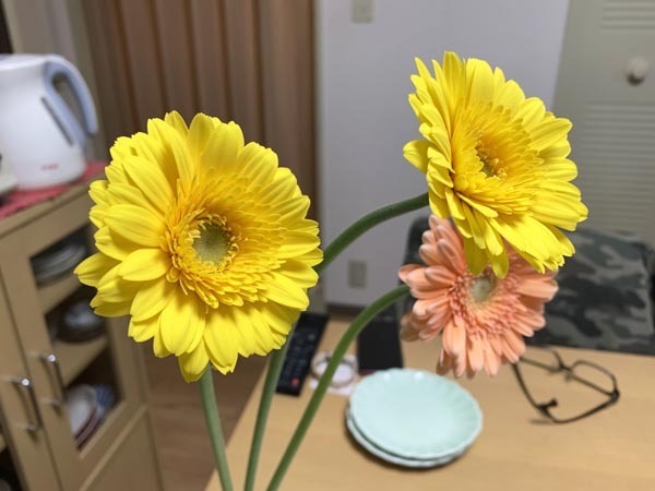 flowers_5353b.jpg