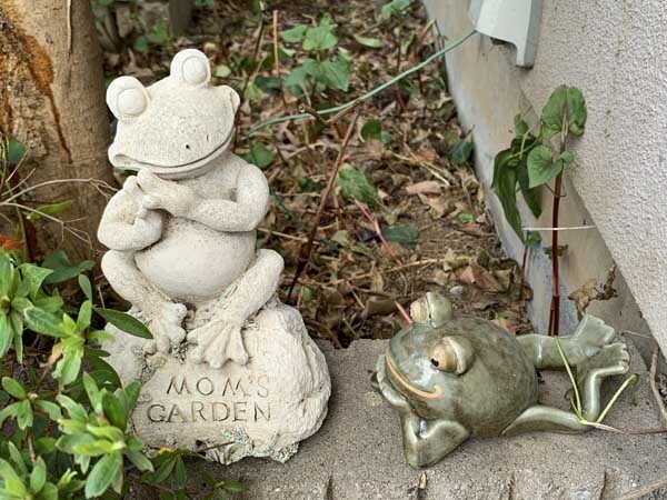 frogs-yuppie_2361a.jpg