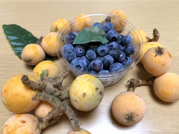 fruits-yuppie_7603a.jpg