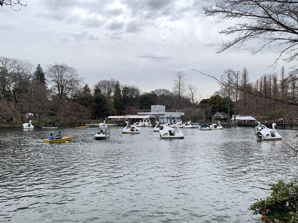 inokashirapark-yuppie_0001a.jpg
