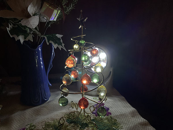 light_5562a.jpg