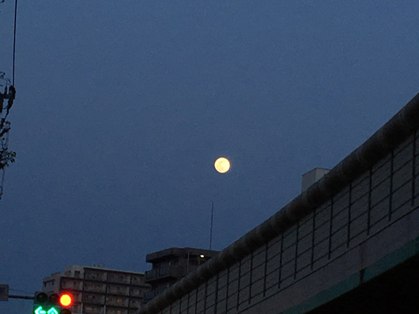 moon-yuppie_9562a.jpg