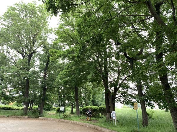 park-yuppie_3077a.jpg