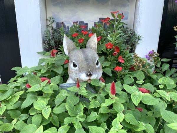 rabbit-yuppie_3623a.jpg