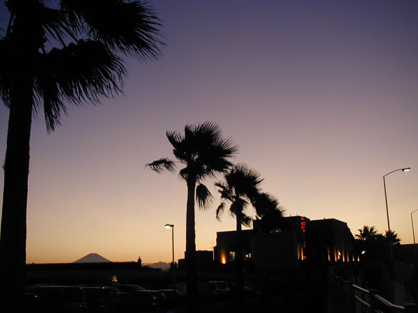 shounan-yuppieP1010116a.jpg