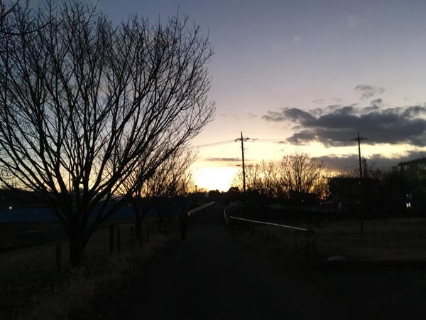 sky-yuppie_2548a.jpg