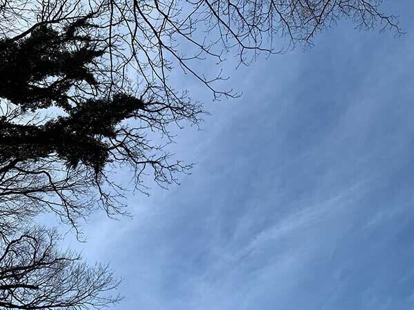 sky-yuppie_6389a.jpg