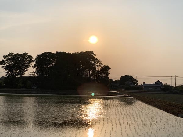 sunset-yuppie_2931a.jpg