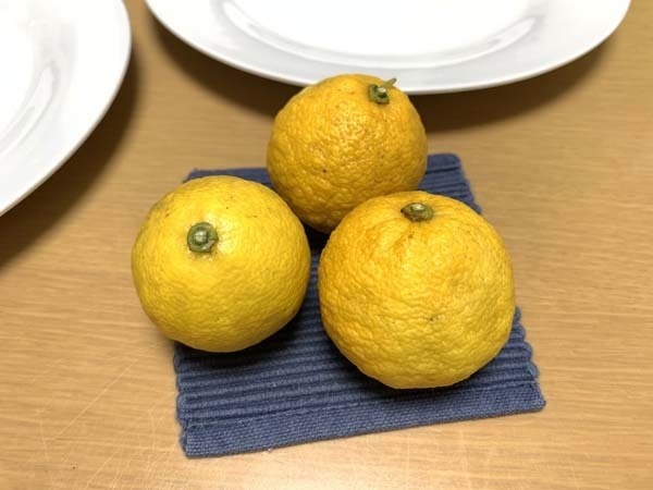 yuzu-yuppie_1778a.jpg