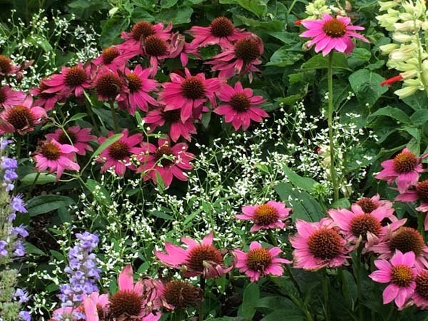 flowers-yuppie_007a.jpg