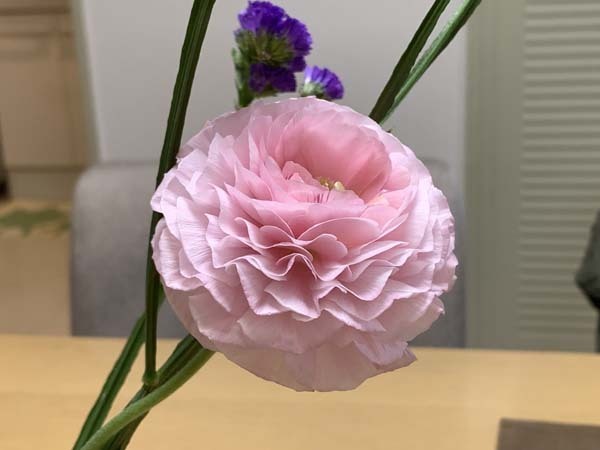 flowers-yuppie_1901a.jpg