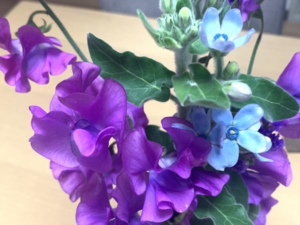 flowers-yuppie_1979a.jpg