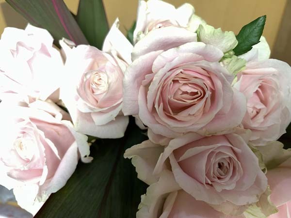 flowers-yuppie_2332a.jpg